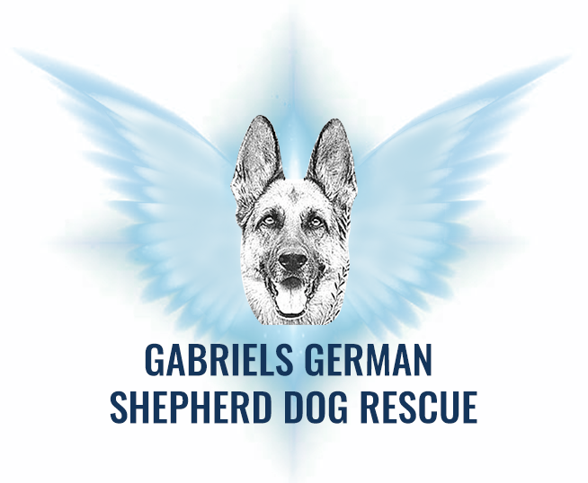Gabriels German Shepherd Dog Rescue