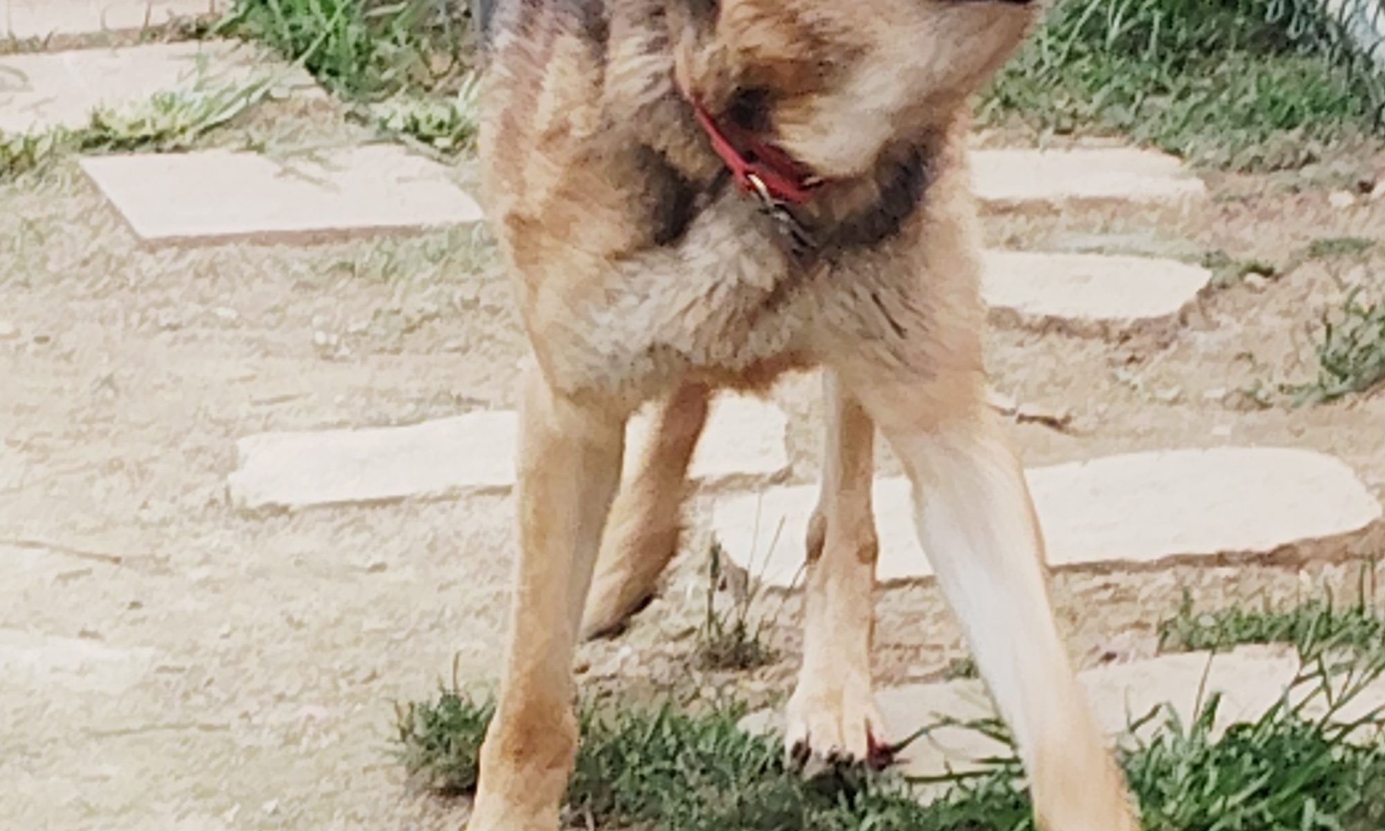 MAX!!