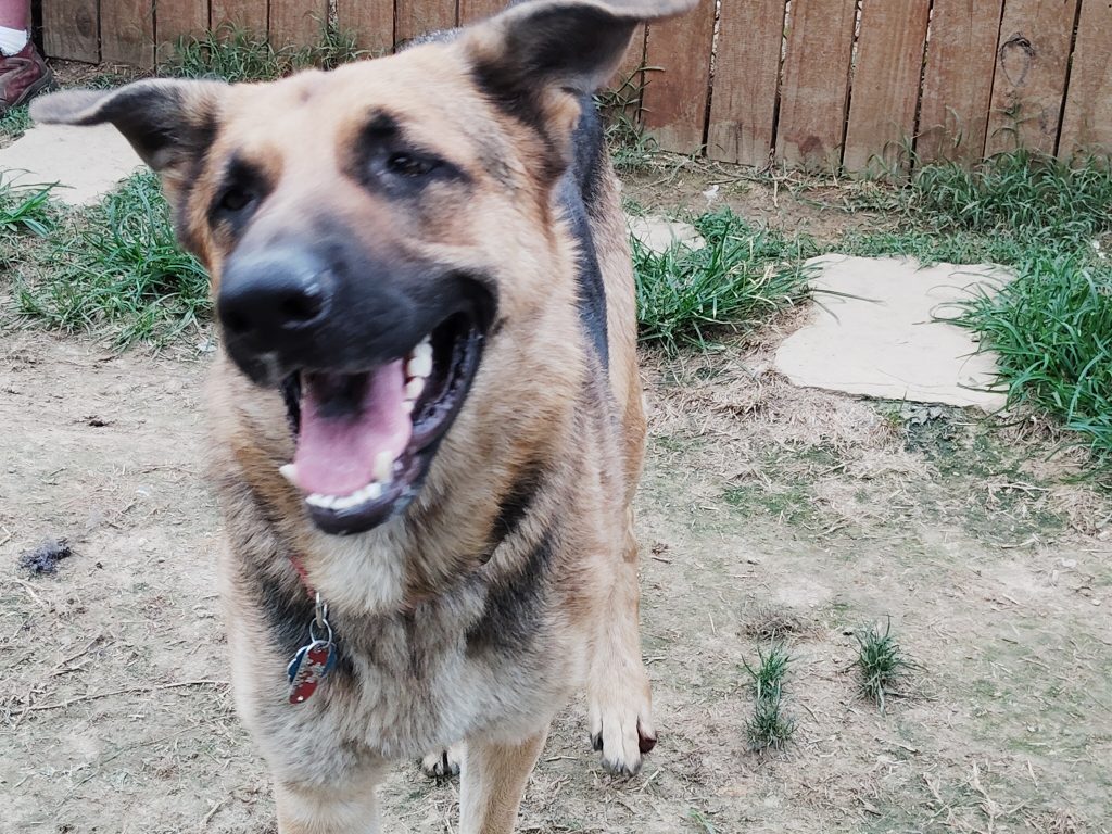 MAX!!