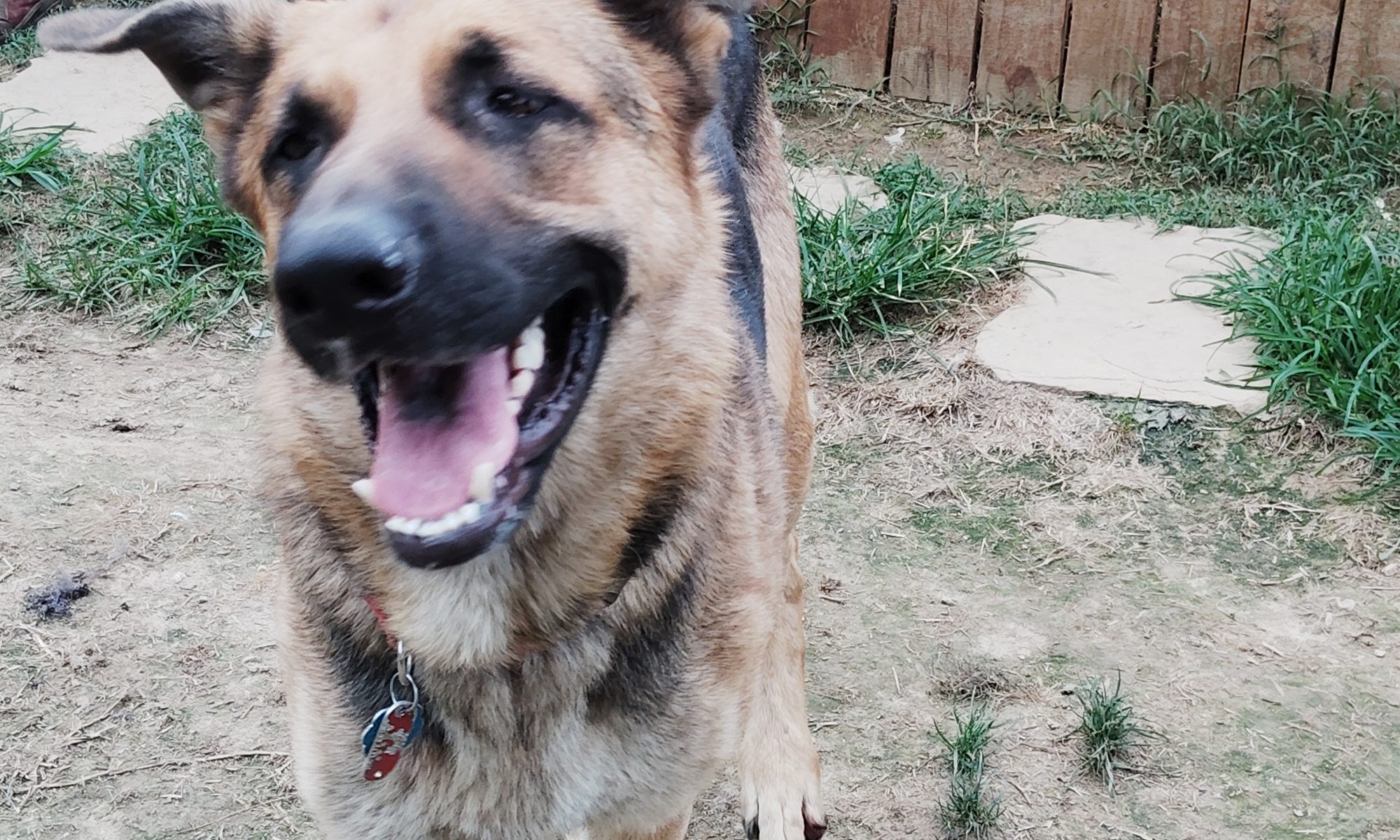 MAX!!