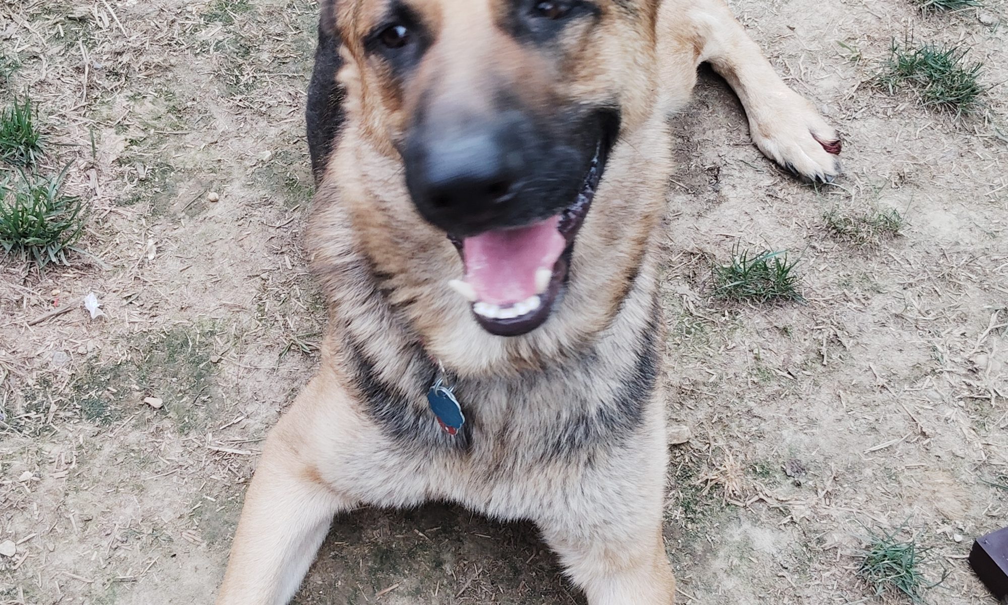 MAX!!
