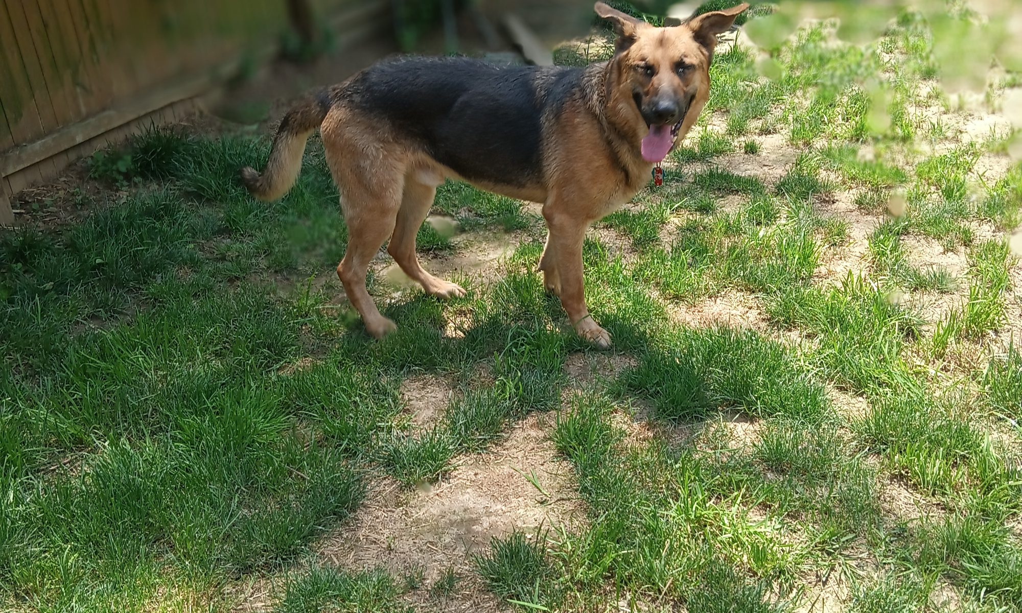 MAX!!