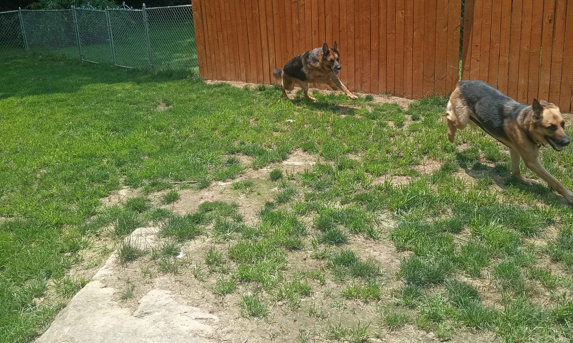 MAX!!