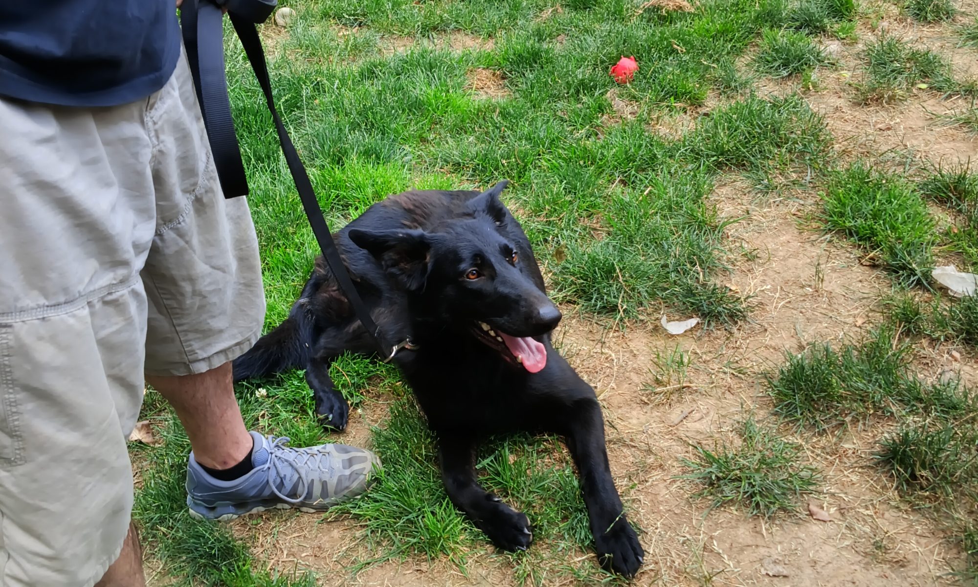 STELLA- A BEAUTIFUL ENERGY