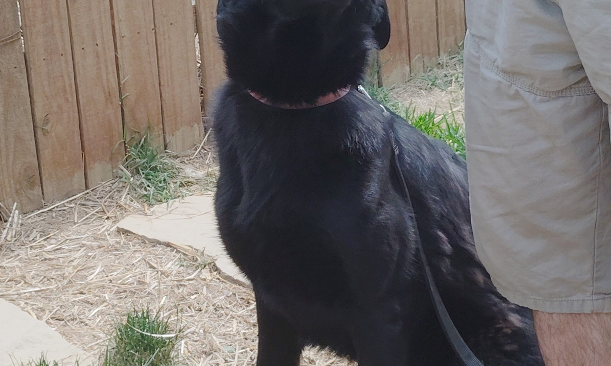 STELLA- A BEAUTIFUL ENERGY
