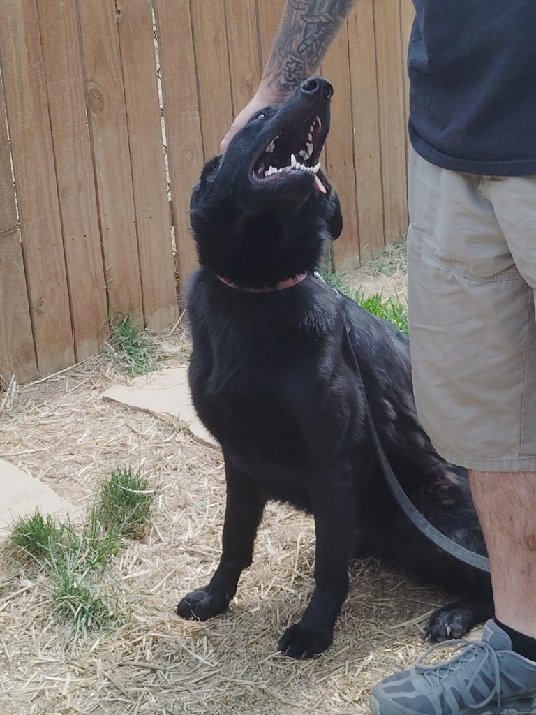 STELLA- A BEAUTIFUL ENERGY