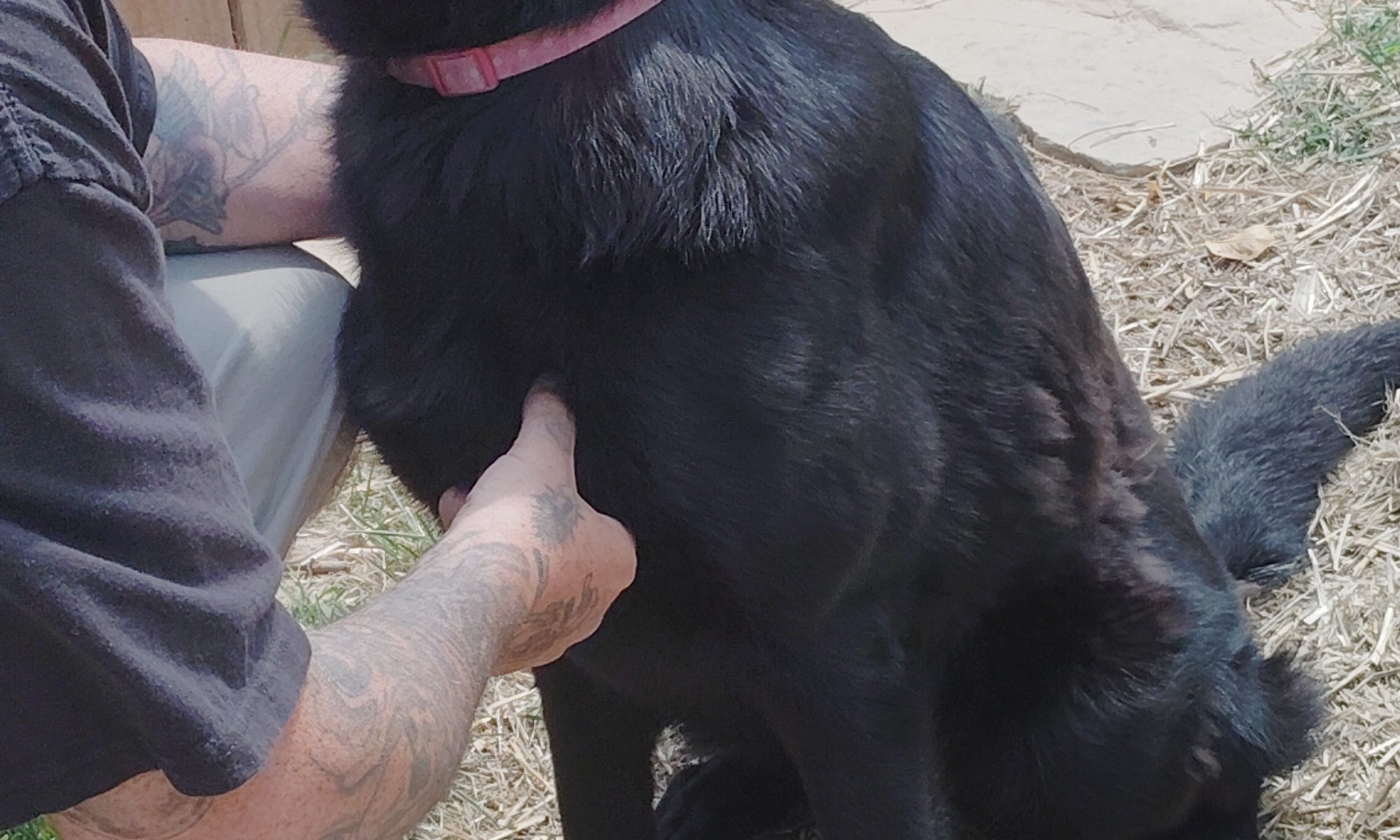 STELLA- A BEAUTIFUL ENERGY